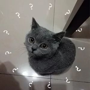DƬ